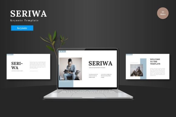 Understanding the Seriwa Keynote Template: A Professional Analysis