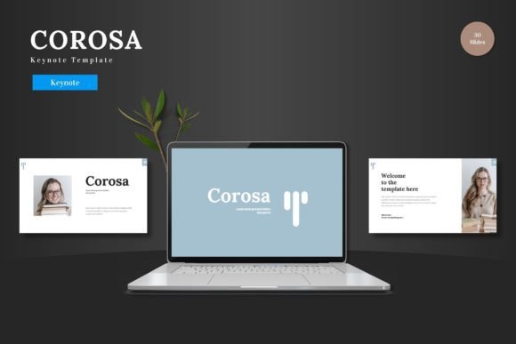 Your Presentation Foundation: The Corosa Keynote Template Explained
